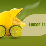 lemon law for consumers