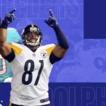 steeler and dolphines