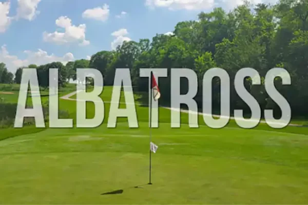 d-Albatross in Golf