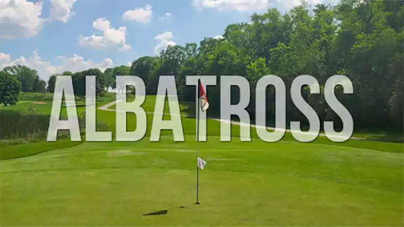 d-Albatross in Golf