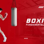 boxing fundamental guide