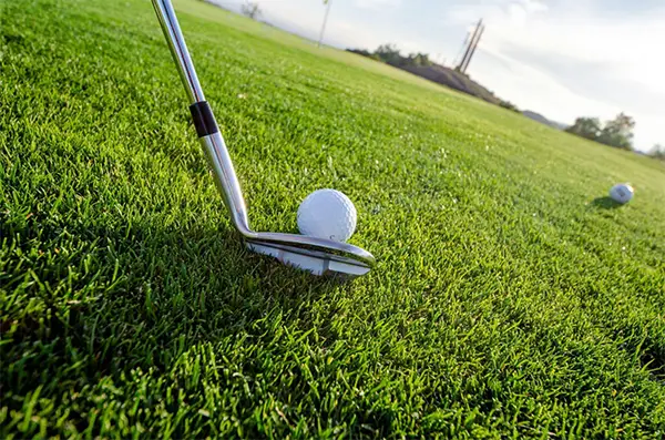 Golf Affiliate